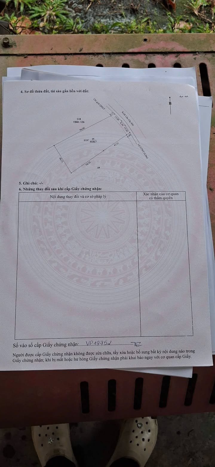Đất nông nghiệp 15.608m² xã Đông Bình, Cần Thơ - Phù hợp trồng cây lâu năm!