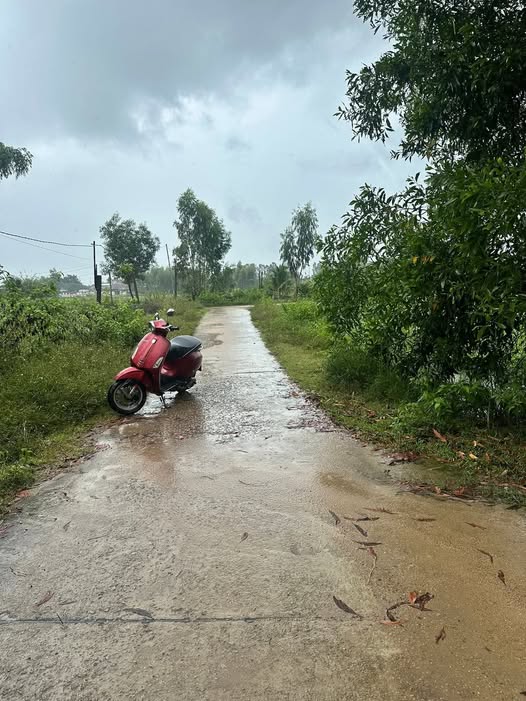 Đất thổ cư Cát Trinh, Phù Cát 442m² giá chỉ 4xx triệu - Đầu tư sinh lời hấp dẫn!