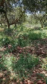 Đất nền Nghĩa Trung 1.8ha giá thỏa thuận - Đầu tư sinh lời ngay!