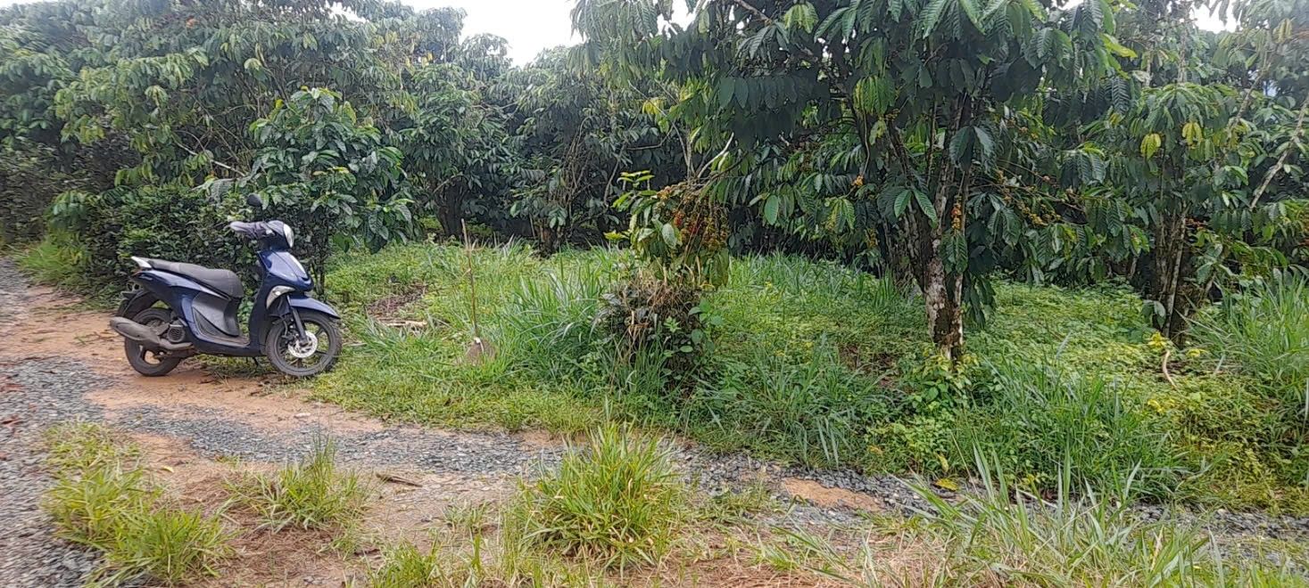 Đất nền 2300m² hẻm gần đồi thông Phương Bối, Lộc Châu - Giá chỉ 1 tỷ!