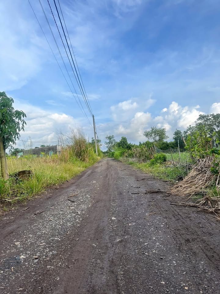 Đất nền Xuân Định 1200m² giá chỉ 680 triệu - Cơ hội đầu tư tuyệt vời!