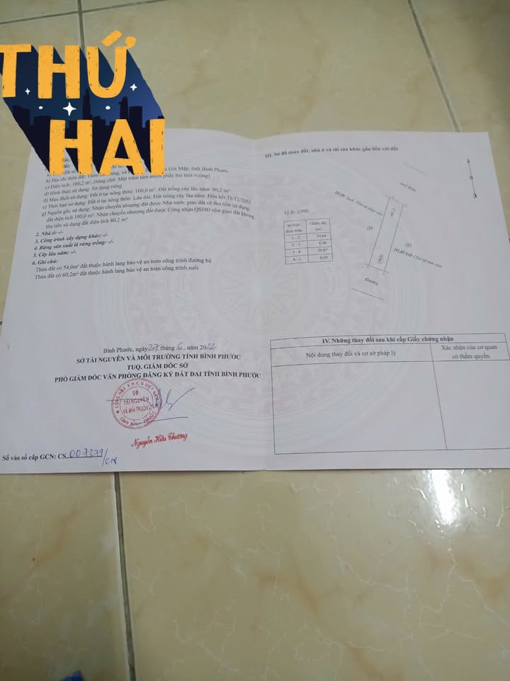 Đất nền Đăk Ơ Bù Gia Mập 180m² giá chỉ 380 triệu - Sổ đỏ chính chủ sẵn sàng giao dịch!