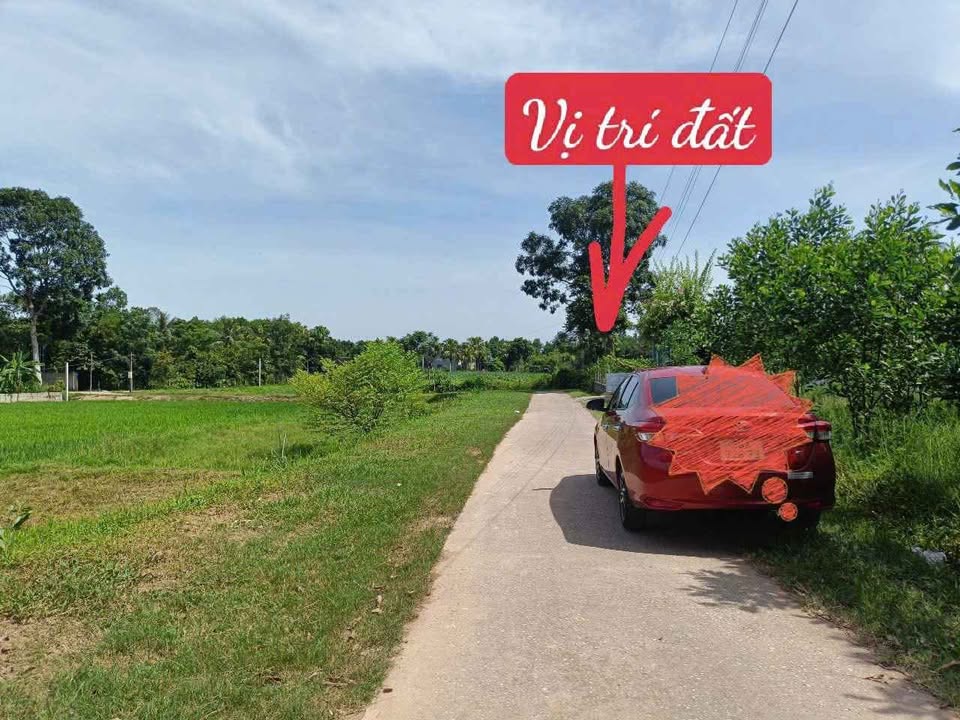 Đất thổ cư Triệu Thành, Triệu Sơn 171m² giá 300 triệu - Cơ hội đầu tư hấp dẫn!