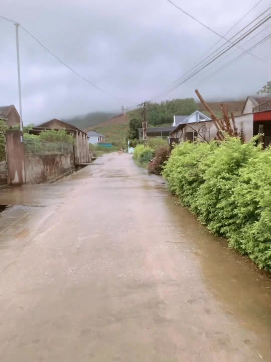 Đất nền xã Xuân Du, huyện Như Thanh 100m² giá 300 triệu - Sổ đỏ chính chủ