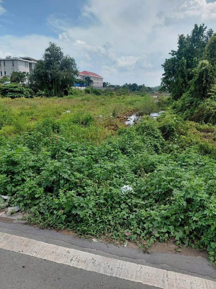 Đất nền mặt tiền đường lớn xã Tân Thới Nhì 1.012,4m² giá 29 tỷ - Cơ hội đầu tư hiếm có!