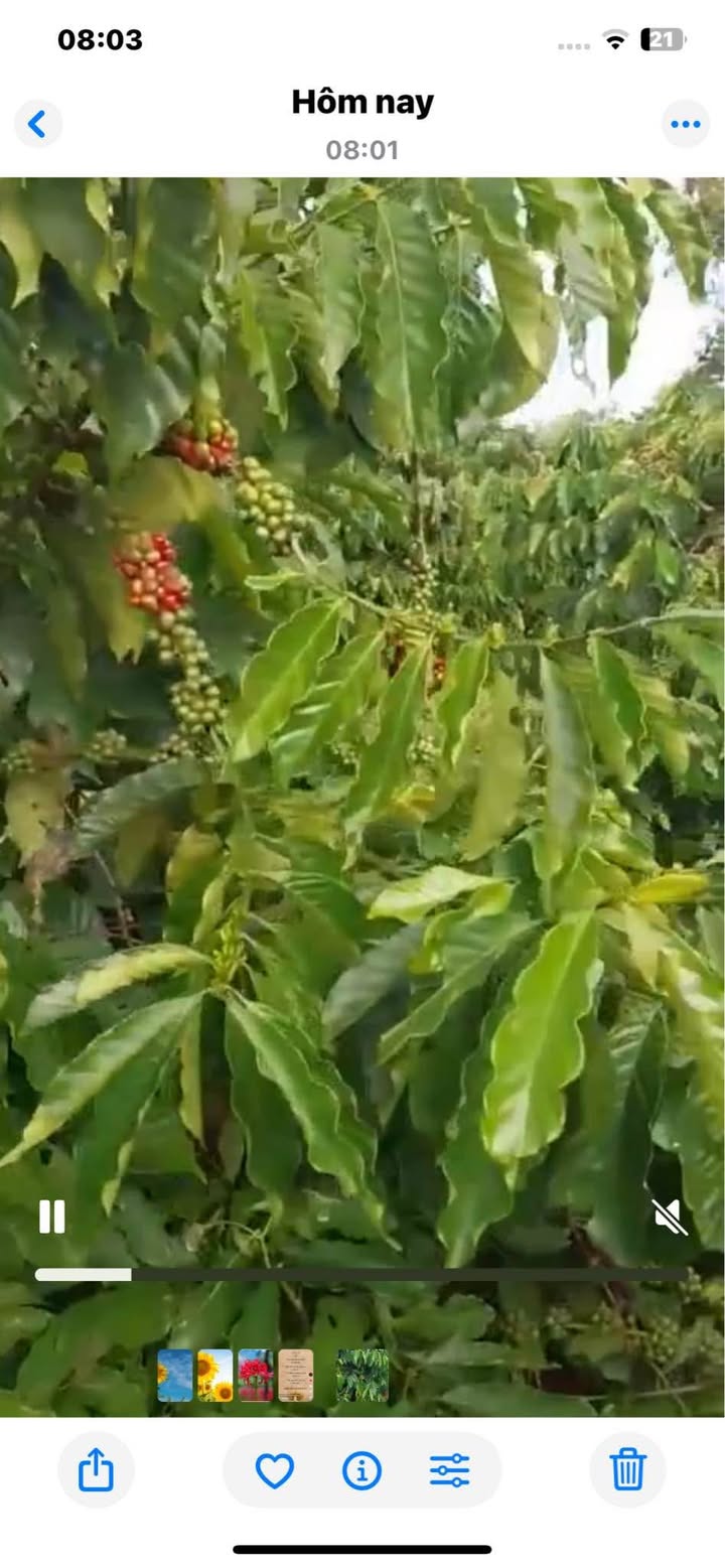 Đất nền khu Hoàn Kiếm 2, Nam Hà, Lâm Đồng 13.106m² - Cơ hội đầu tư hiếm có!