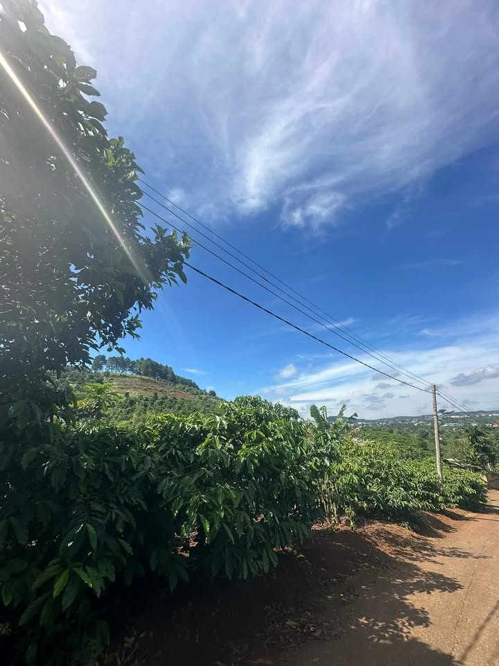 Đất nền nghỉ dưỡng tại Nam Ban, Lâm Hà - 1.8ha giá chỉ 1.307 tỷ - Đầu tư sinh lời ngay!