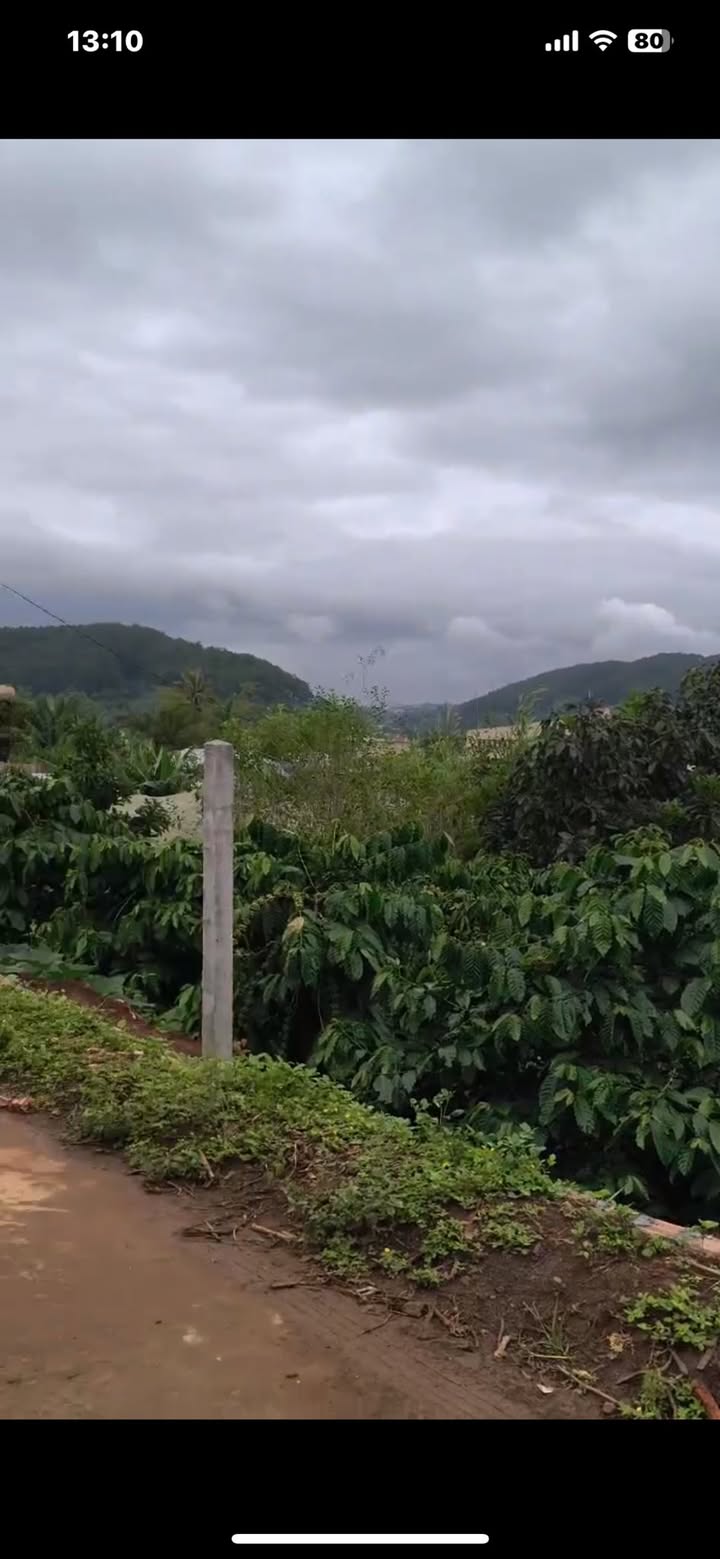 Đất nền xã Nam Ban, Lâm Hà 500m² giá 2.05 tỷ - View Phật Bà tuyệt đẹp!