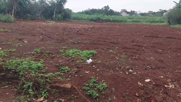 Đất nền Nghĩa Thành 294m² giá chỉ 3xx triệu - Cơ hội đầu tư tuyệt vời!