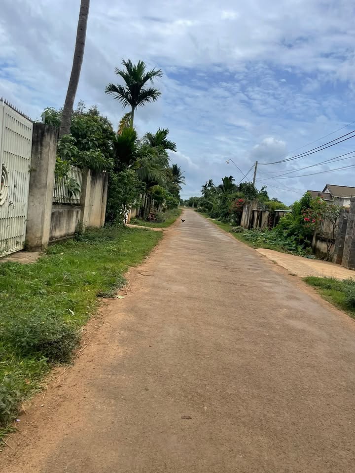 Đất nền Ea Tiêu Cư Kuin 900m² giá 90 triệu - Đầu tư sinh lời tốt!