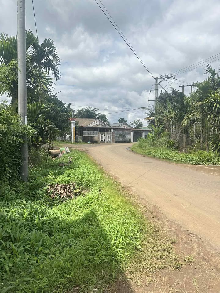 Đất mặt tiền kinh doanh xã Ea Ning 525m² giá 1,5 tỷ - Tiềm năng sinh lời cao!