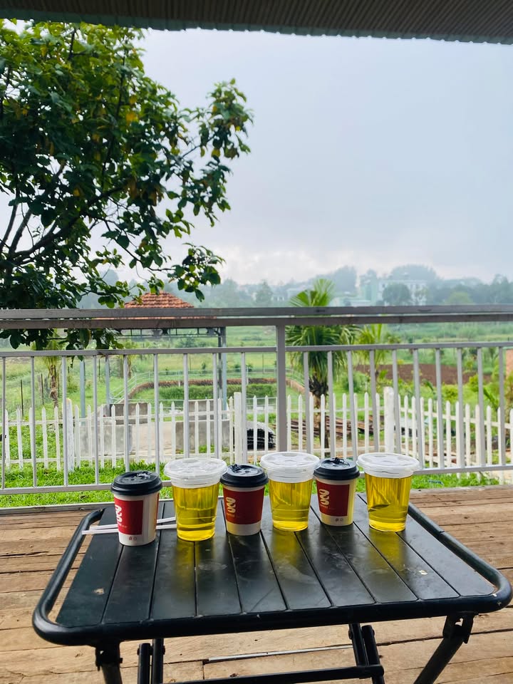 Nhà vườn hẻm 104 Trần Văn Ơn Pleiku 796m² giá 1 tỷ - Cơ hội vàng cho bạn!