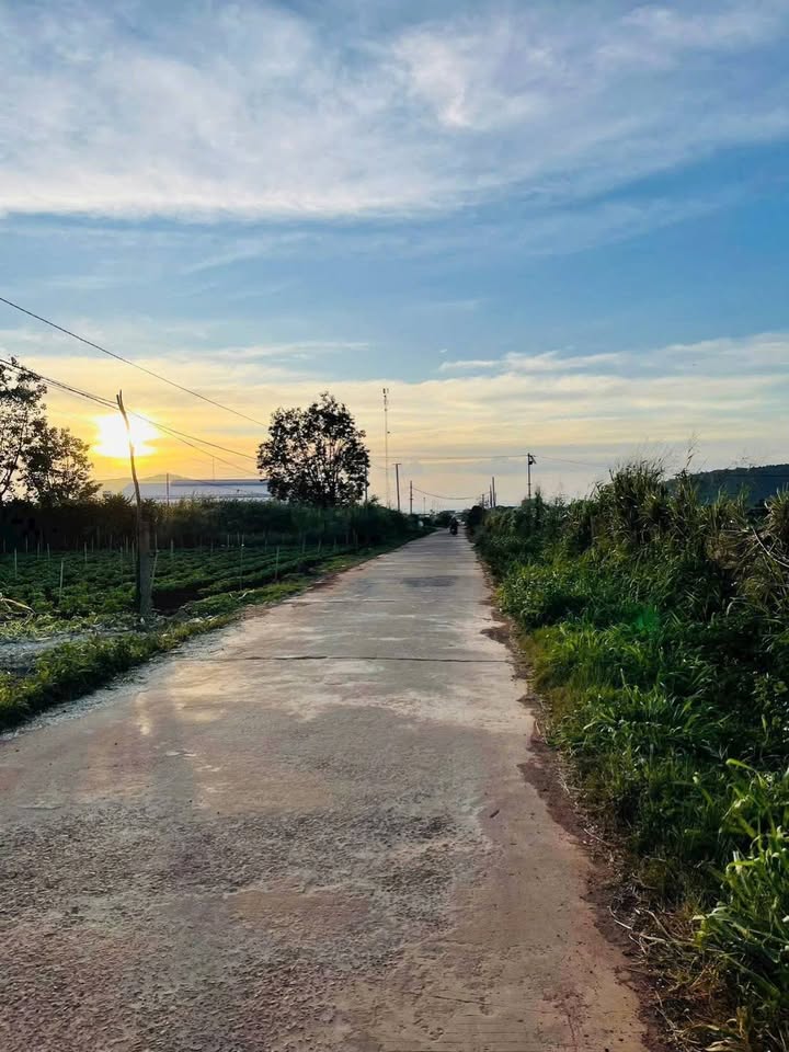 Đất nền Đạ Ròn 2000m² giá 4 tỷ - Đầu tư sinh lời ngay!