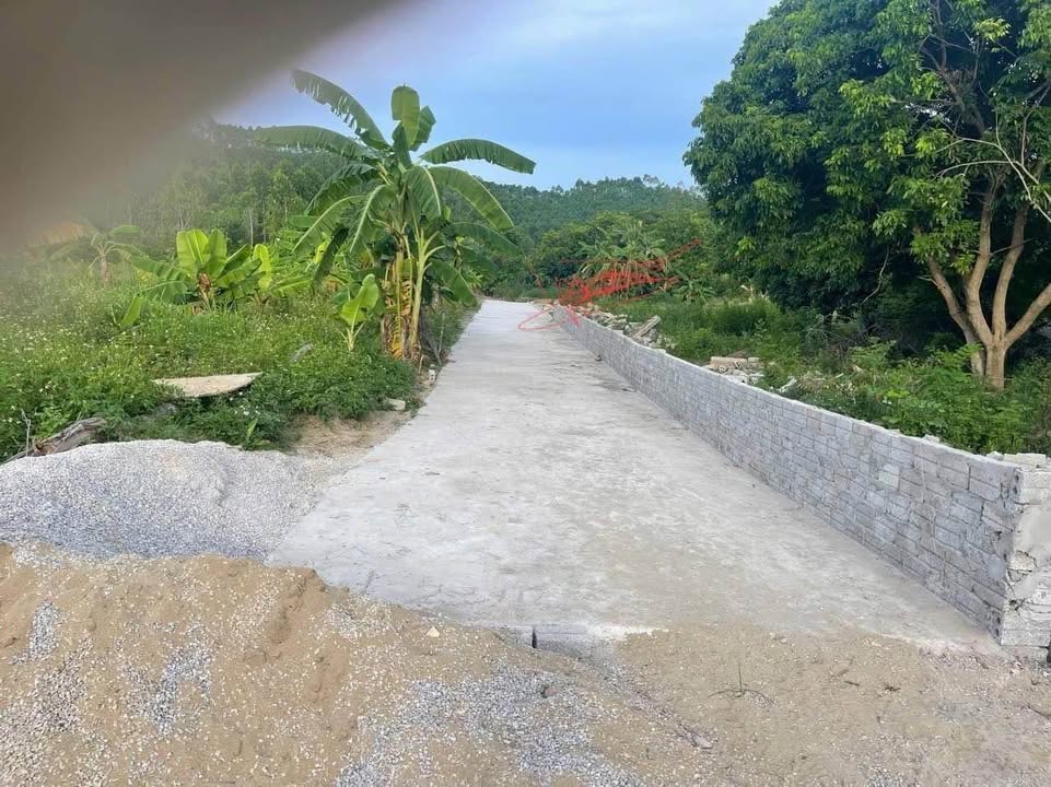 Đất thổ cư phường Quỳnh Thiện 138m² giá 440 triệu - Cơ hội đầu tư sinh lời!