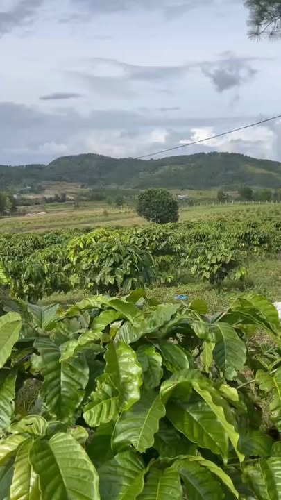 Đất nền Tân Phú, Ninh Gia, 360m² giá 400 triệu - Sổ đỏ chính chủ, thương lượng tốt!