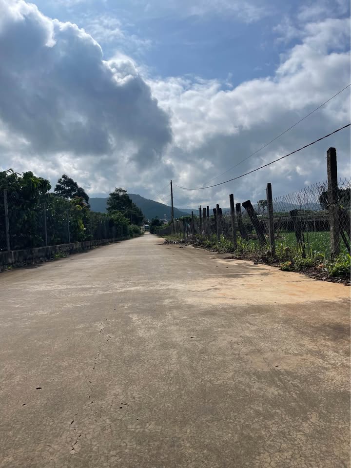 Đất nền Liên Hiệp Đức Trọng 220m² giá 2.5 tỷ - Cần bán gấp trong 24h!