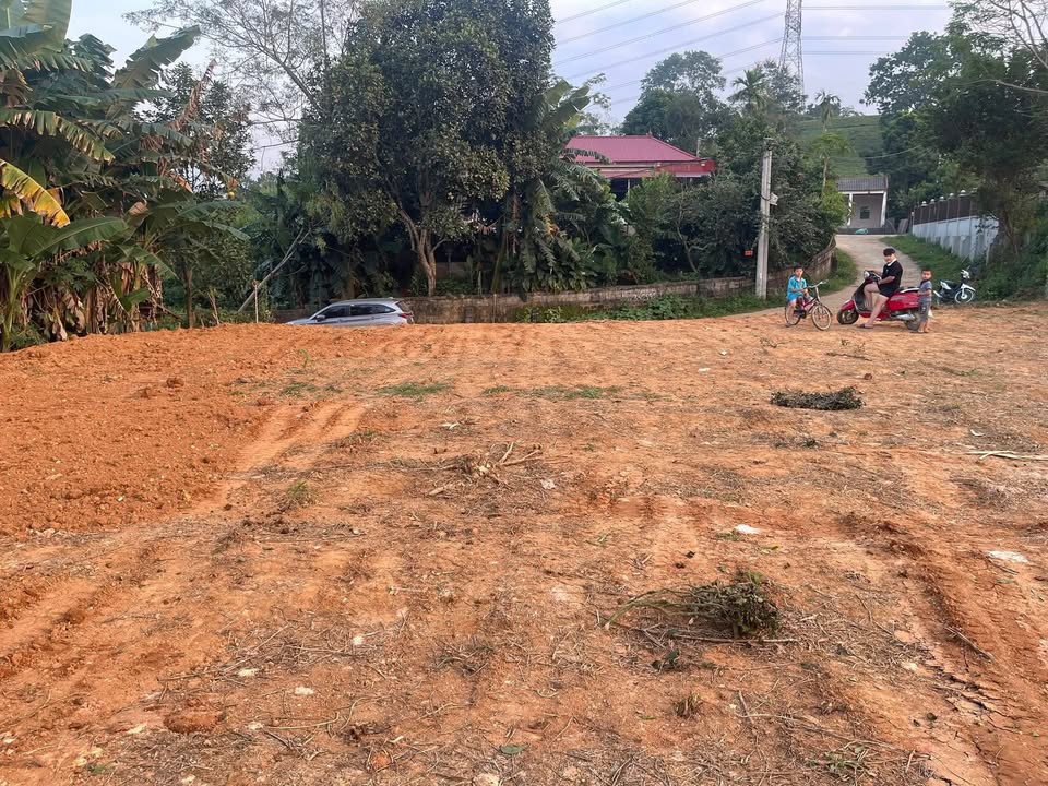 Đất nền Minh Đài, Tân Sơn 200m² giá chỉ 100 triệu - Đầu tư sinh lời ngay!