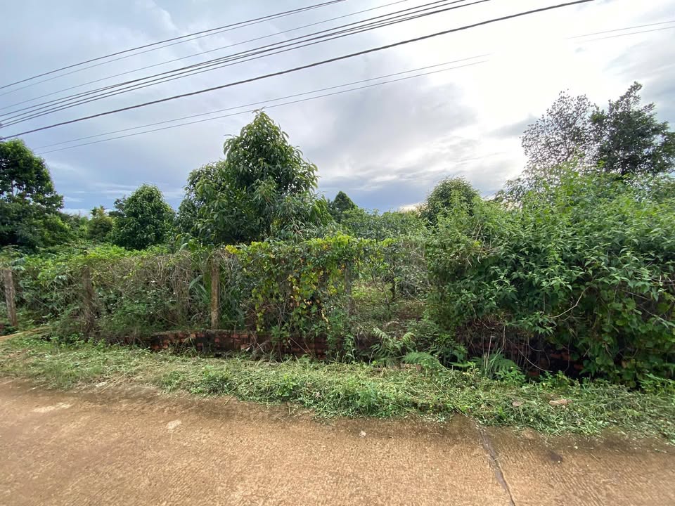 Đất nền mặt tiền công nghiệp Pơng Drang 1300m² giá 9.88 tỷ - Đầu tư sinh lời ngay!