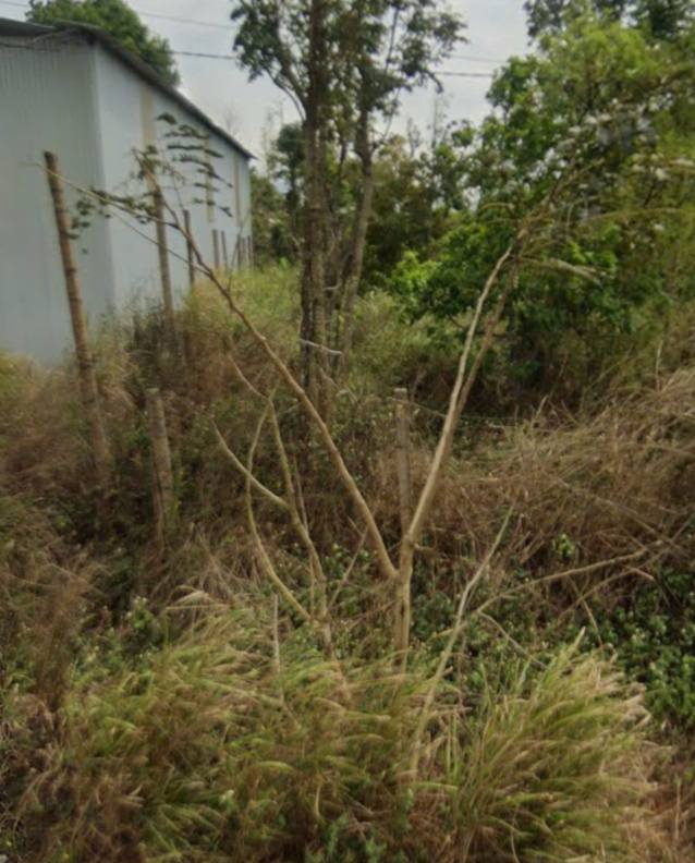 Đất mặt tiền Nguyễn Lương Bằng, Buôn Hồ 270m² giá 2.85 tỷ - Tiềm năng kinh doanh cao!