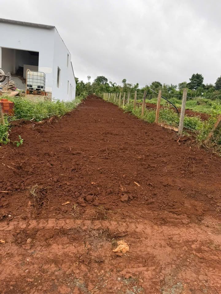 Đất nền phường Đạt Hiếu 330m² giá chỉ 790 triệu - Cơ hội đầu tư tốt!