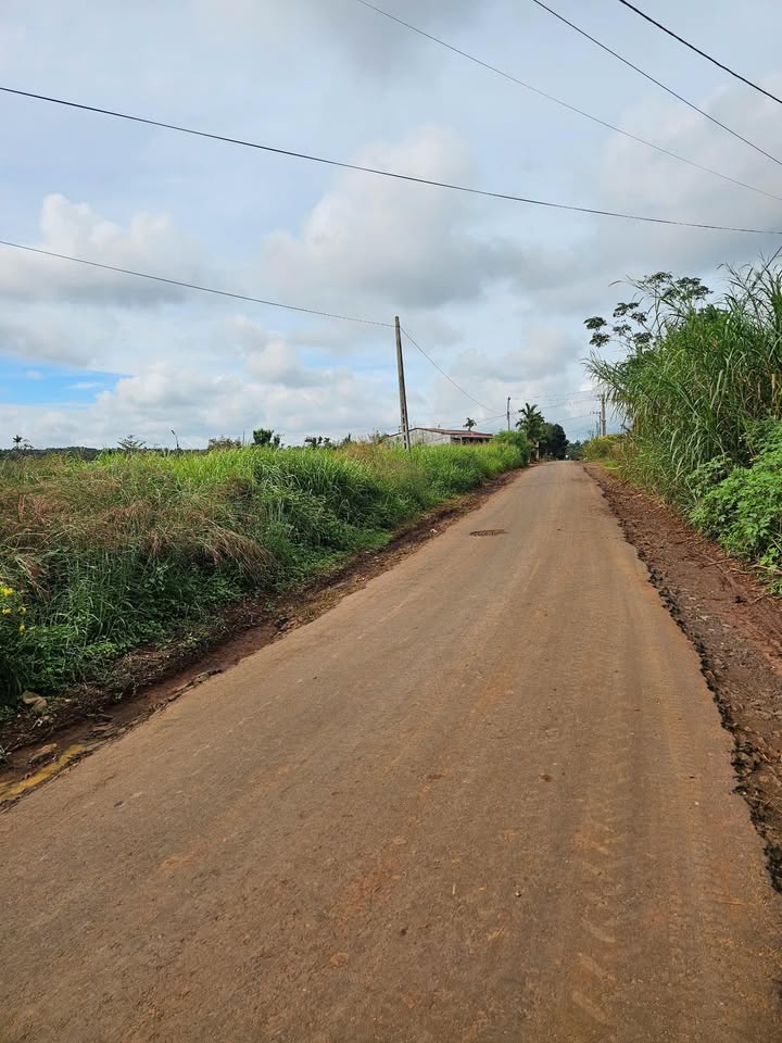 Đất nền Tân Lập Buôn Ma Thuột 500m² giá 2.5 tỷ - Sổ đỏ chính chủ!