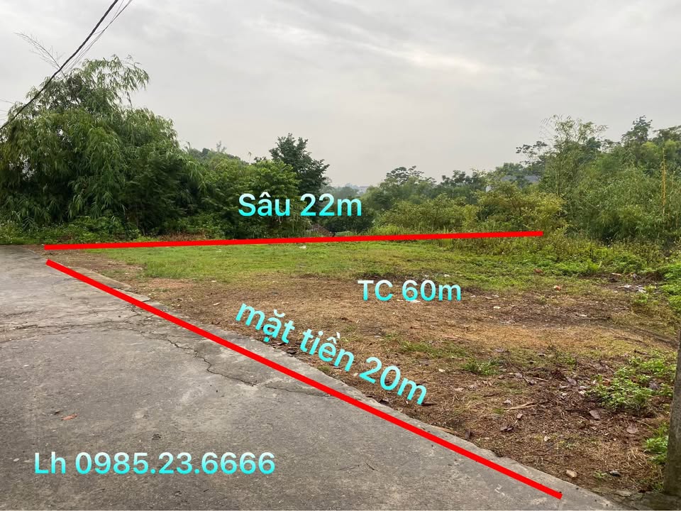 Đất nền khu 1 Thanh Đình 440m² giá 1.6 tỷ - Tiềm năng sinh lời cao!