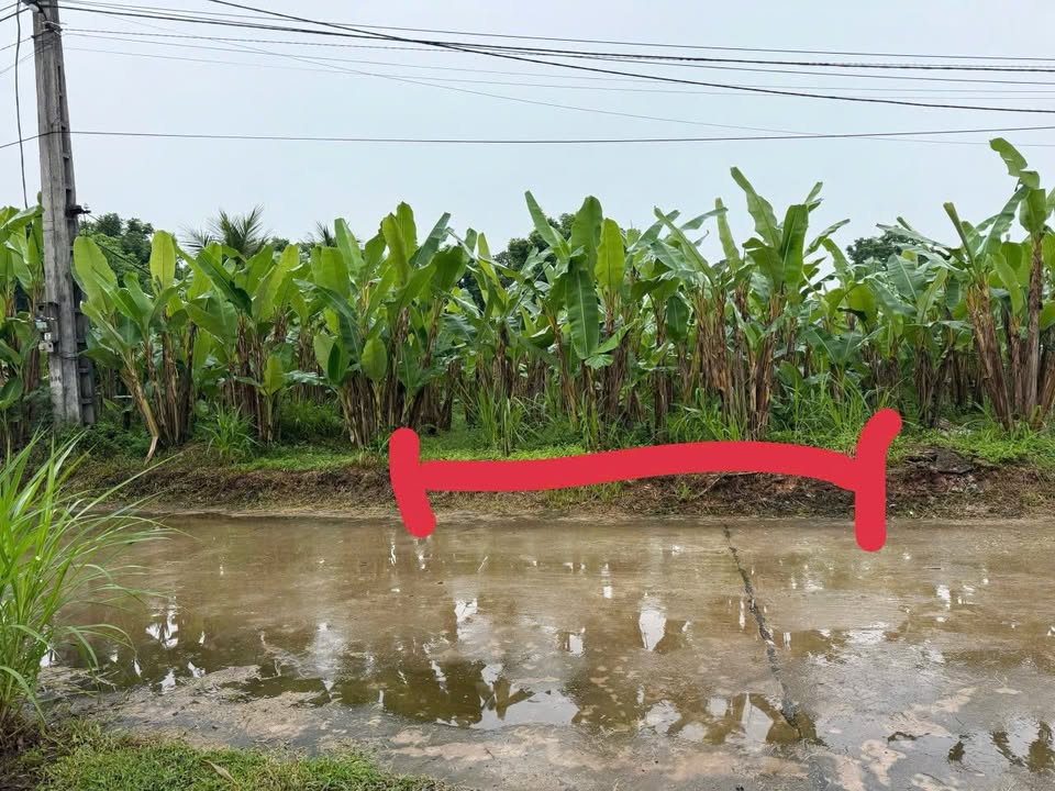 Lô đất Hồng Tiến - Phổ Yên 99m² giá 800 triệu - Cơ hội đầu tư tuyệt vời!