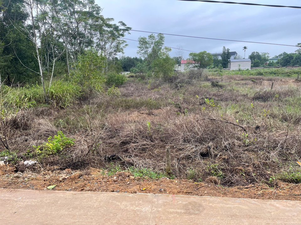 Đất nền Bình Yên - Thạch Thất 356m² giá chỉ 1.1 tỷ - Đầu tư sinh lời ngay!