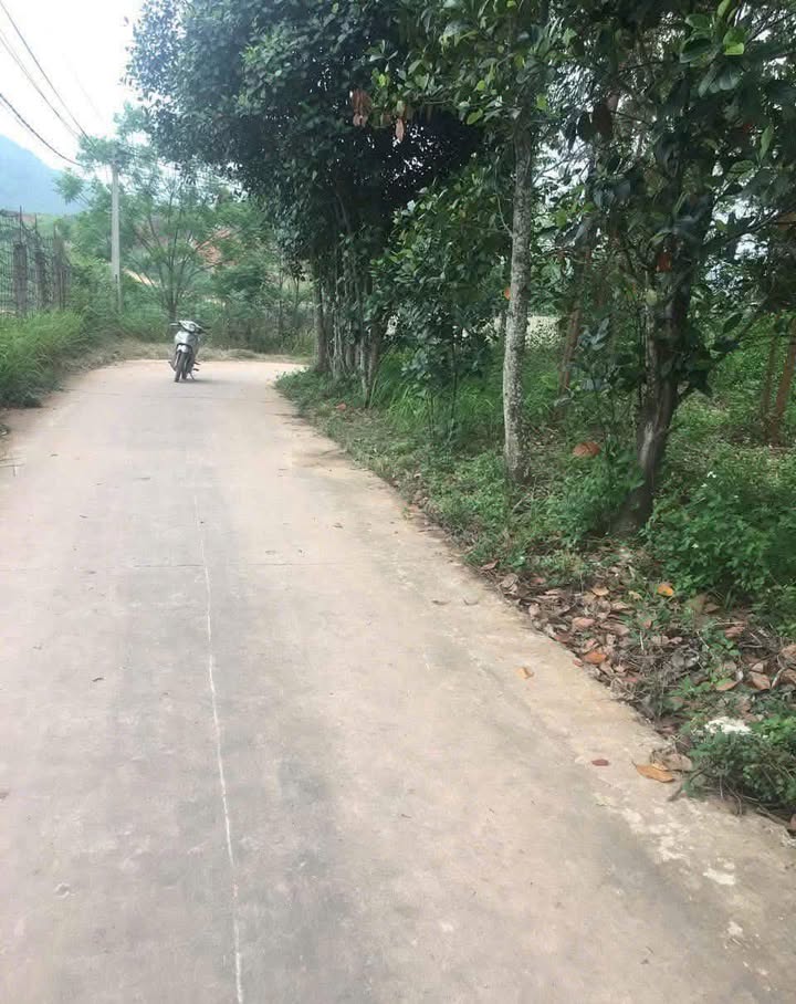 Đất vườn 2 mặt tiền tại Thôn Cầu Gỗ, Lục Nam, Bắc Giang - Giá chỉ 1 tỷ!