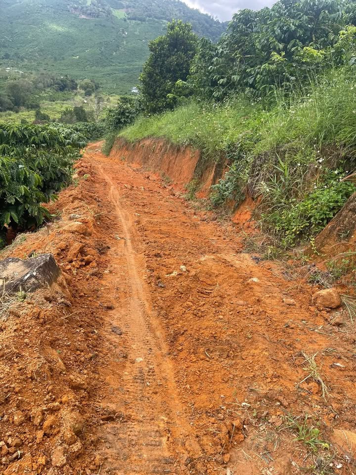 Đất nền 15.000m² tại Phú Sơn, Lâm Hà giá chỉ 2.8 tỷ - Đầu tư sinh lời ngay!