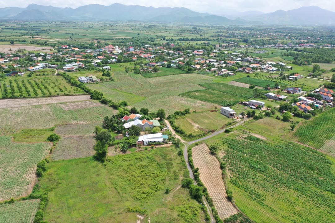 Đất thổ cư Tân Định 1.879m² giá chỉ 1.5 triệu/m² - Cơ hội đầu tư tuyệt vời!