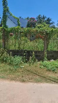 Đất nền khu phố Trung Hóa, Tam Quan Nam 225m² giá 600 triệu - Cơ hội đầu tư hấp dẫn!