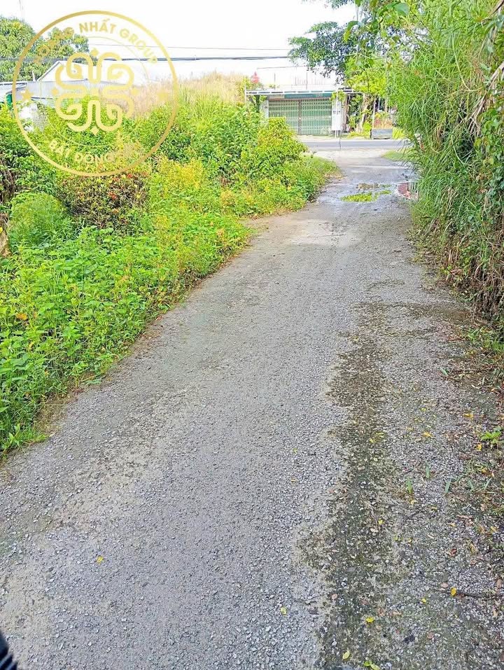 Đất nền Tân Xuyên Cà Mau 393m² giá 1 tỷ - Đầu tư sinh lời ngay!