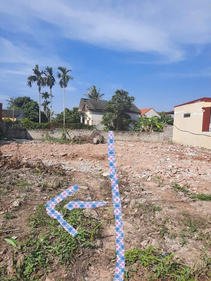 Đất nền tổ 8 phường Hòa Nghĩa 232m² giá 4.4 tỷ - Cơ hội đầu tư không thể bỏ lỡ!