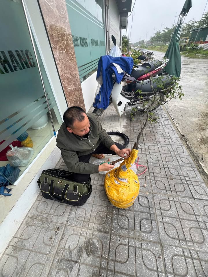 Đất nền An Khánh 58m² giá thỏa thuận - Chỉ cần chốt lô góc tặng ngay 2 cây vàng!