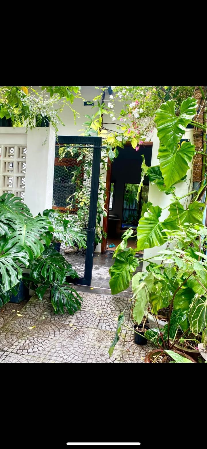 Nhà nguyên căn cho thuê tại Bùi Hữu Nghĩa, Sơn Trà - Nội thất đầy đủ, chỉ việc vào ở!