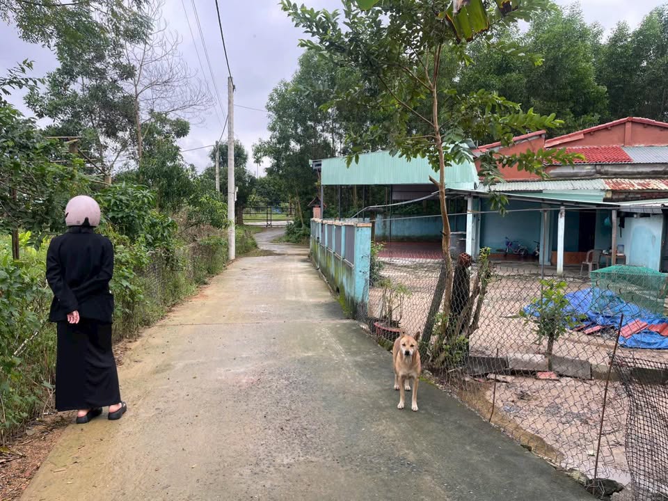 Đất trồng cây Hòa Khánh, Đà Nẵng 650m² - Đầu tư lâu dài, giá hợp lý!