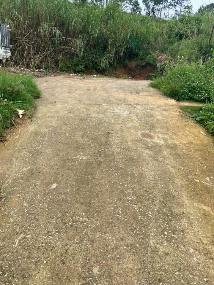 Đất nền đường Ngô Thụy Sỹ, phường 4, Đà Lạt 70m² giá 650 triệu - Ô tô vào tận đất!