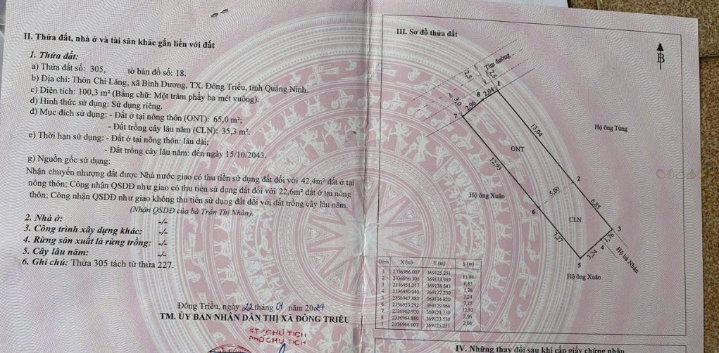 Lô đất chính chủ tại Thôn Chi Lăng, Bình Dương, 100.3m² giá 400 triệu - Đầu tư sinh lời ngay!