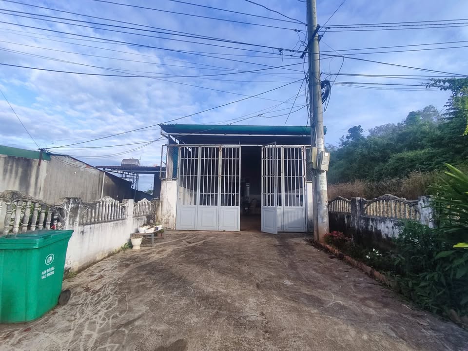 Đất thổ cư 120m² tại thôn 6, xã Nam Bình, Đắk Song - Giá chỉ 1.25 tỷ!