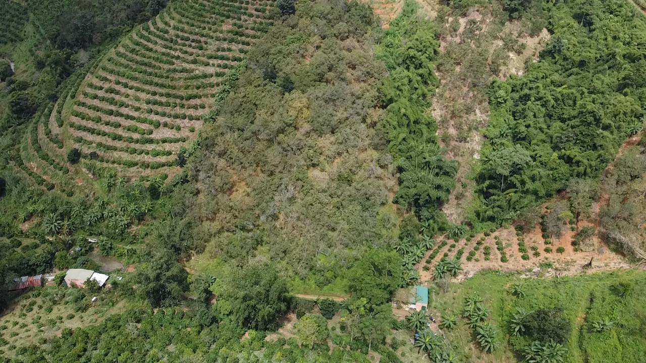 Đất nền 8000m² tại Nam Xuân, Krông Nô giá 420 triệu - Cơ hội đầu tư hấp dẫn!