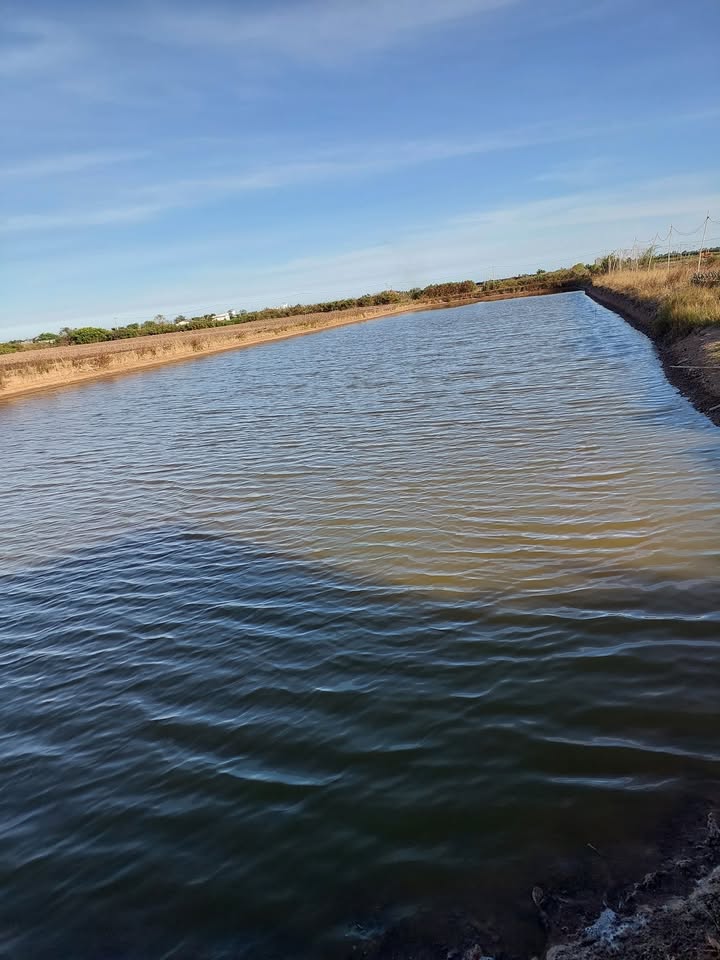 Đất nền phường 5 Bạc Liêu 50000m² giá 1.2 tỷ - Cơ hội đầu tư sinh lời!