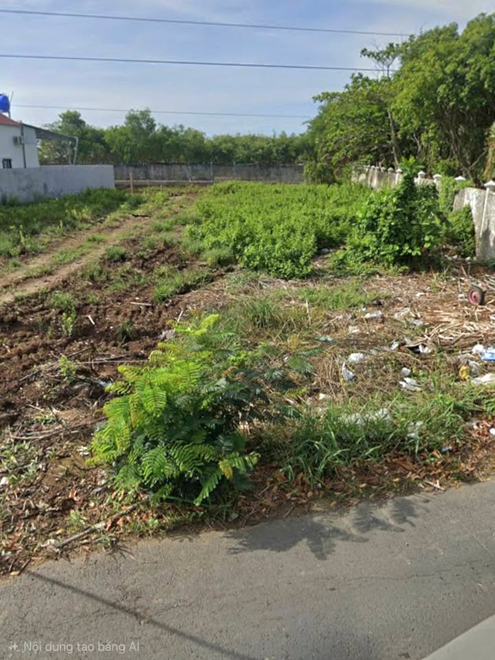 Đất mặt tiền đường Phan Thị Tư, huyện Hòa Bình, Bạc Liêu - Tiềm năng kinh doanh tuyệt vời!