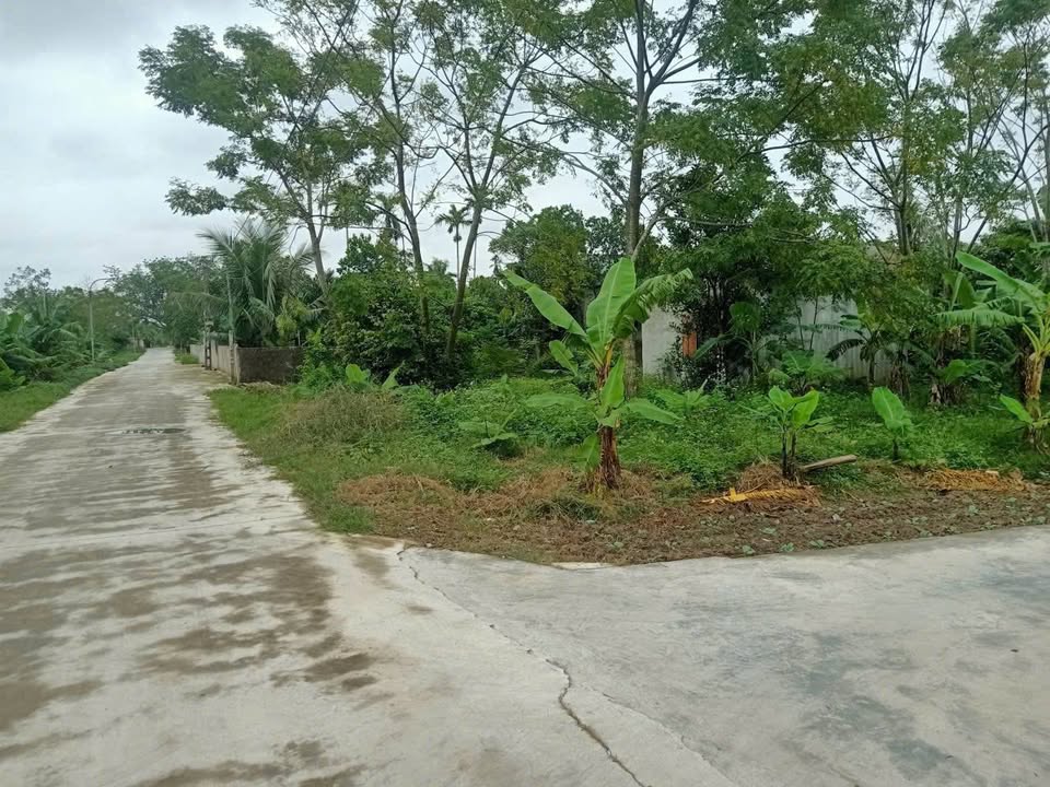 Lô đất 3 mặt tiền xã Quảng Ngọc 722m² giá 1 tỷ - Cơ hội đầu tư tuyệt vời!