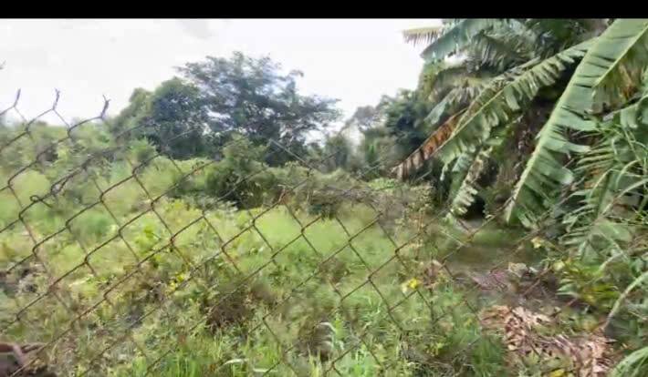 Đất nền ấp 4 xã Đức Hòa Đông 105m² giá chỉ 900 triệu - Sổ hồng chính chủ