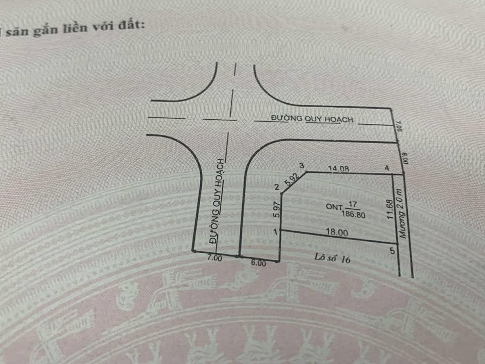 Đất nền thôn Kép, xã Việt Tiến, 186.8m² - Vị trí đắc địa cho đầu tư!