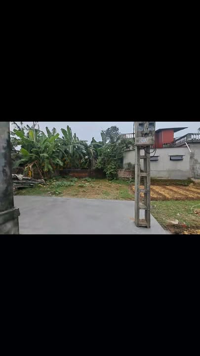 Đất nền Tứ Kỳ Hải Dương 300m² giá thỏa thuận - Đường ô tô vào tận nơi!