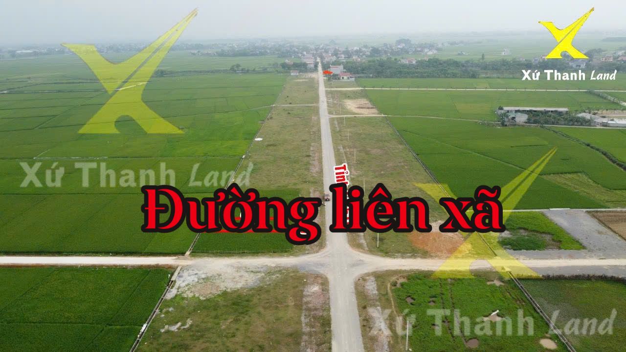 Đất nền Thọ Xuân Thanh Hóa 175m² giá 550 triệu - Đầu tư sinh lời ngay!