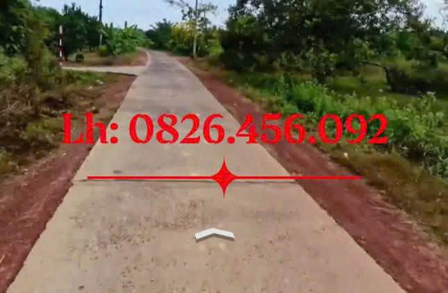 Đất nền Tân Phước, Đồng Phú 225m² - Cơ hội đầu tư sinh lời!