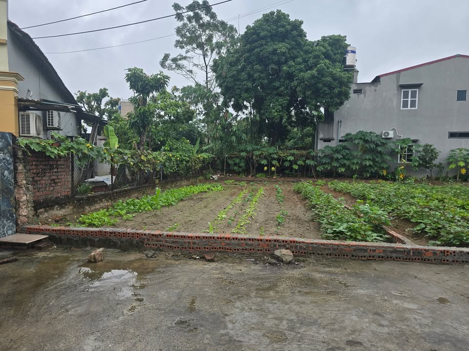 Đất thổ cư Minh Phương Việt Trì 101m² giá thỏa thuận - Đường rộng, ô tô vào tận nơi!